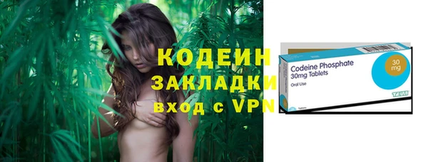 амф Верхний Тагил