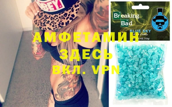 амф Верхний Тагил
