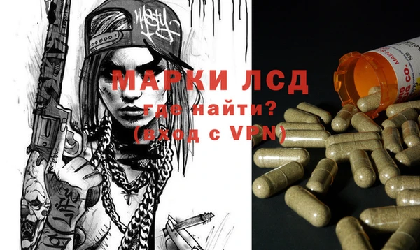 амф Верхний Тагил