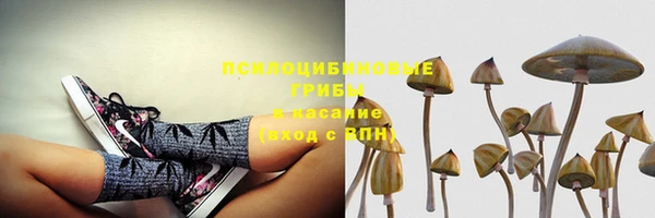 прущая мука Верея