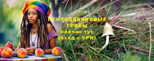 амф Верхний Тагил