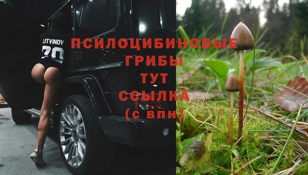 прущая мука Верея