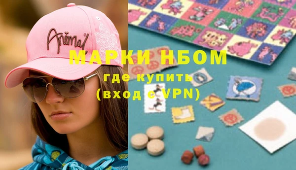 амф Верхний Тагил