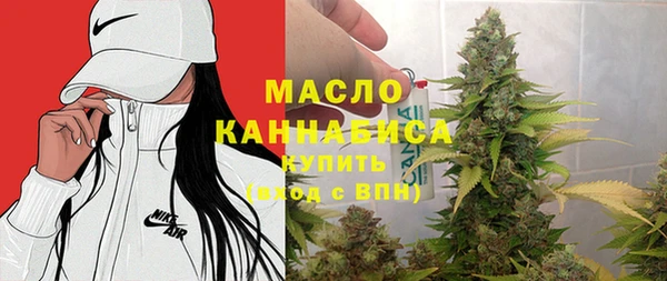 амф Верхний Тагил