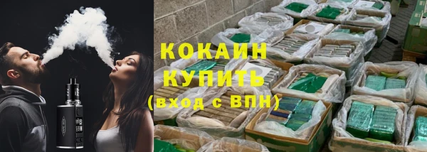 амф Верхний Тагил