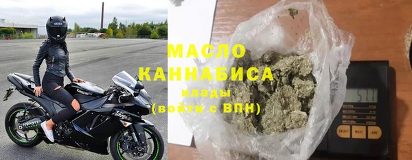 индика Бородино